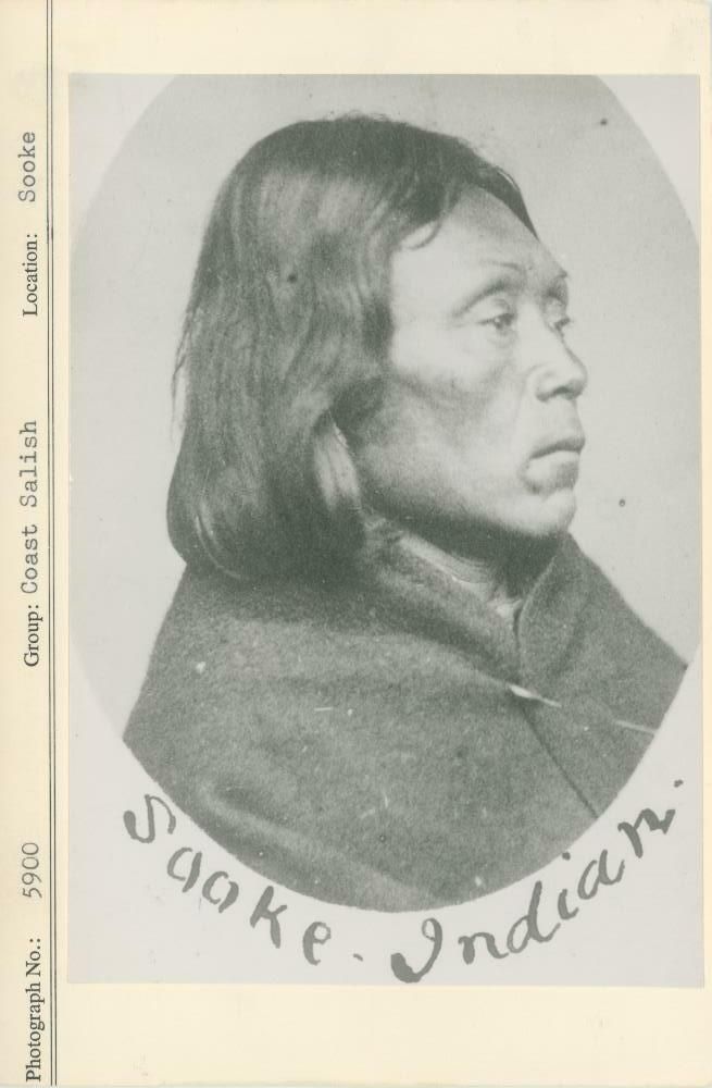 Image representing photograph.