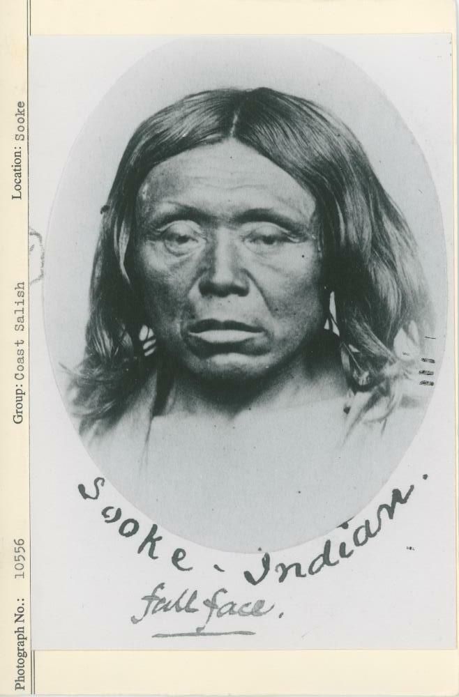 Image representing photograph.