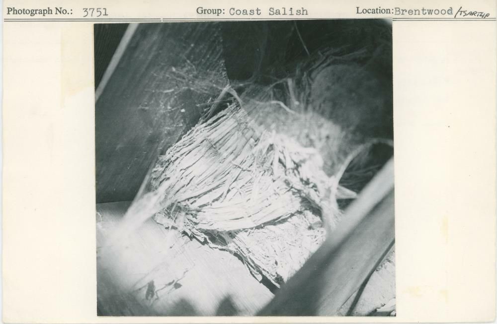 Image representing photograph.