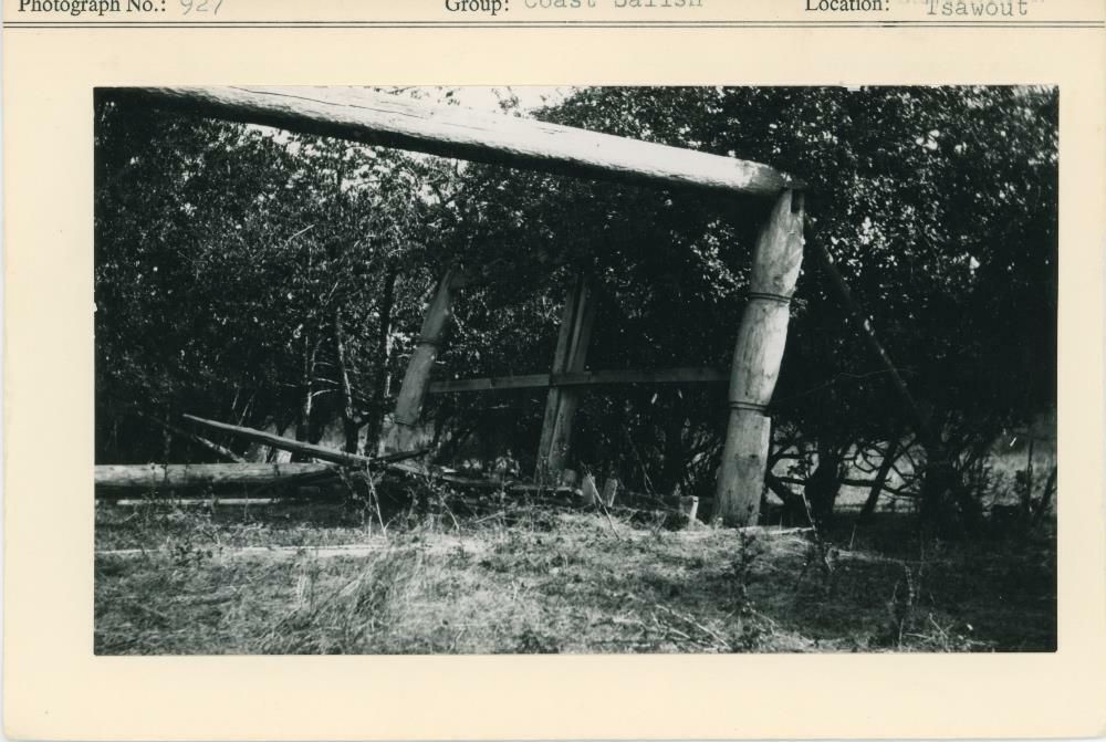 Image representing photograph.