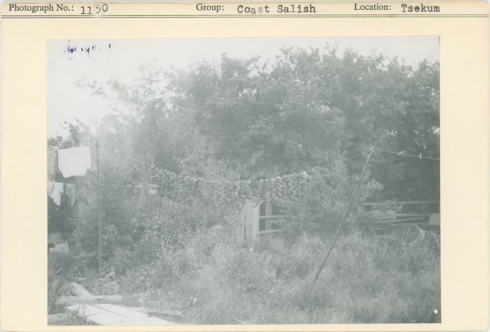 Image representing photograph.