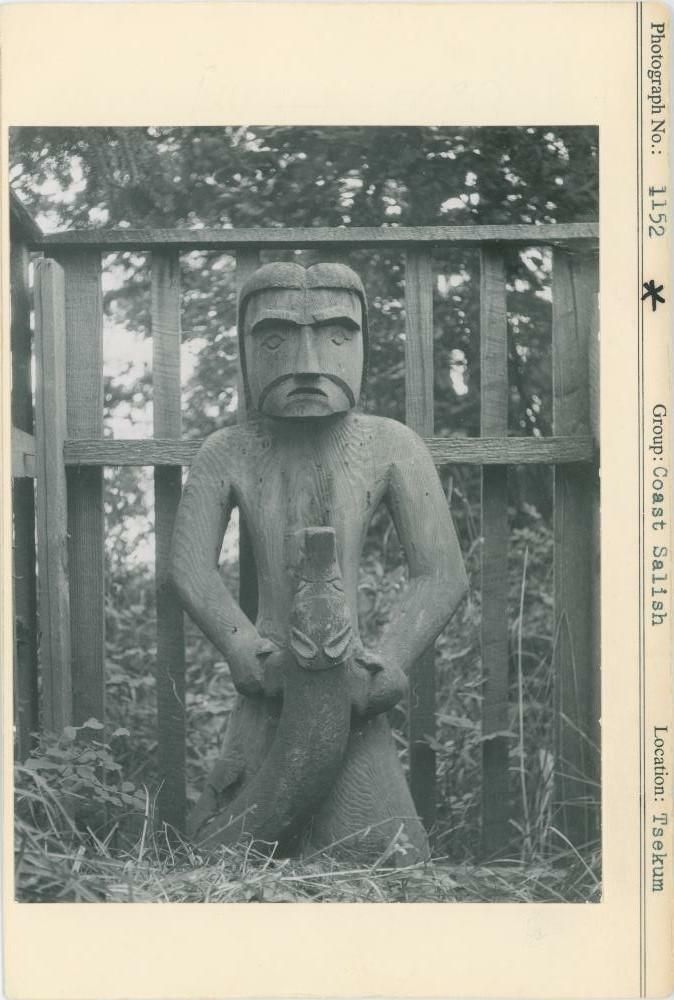 Image representing photograph.