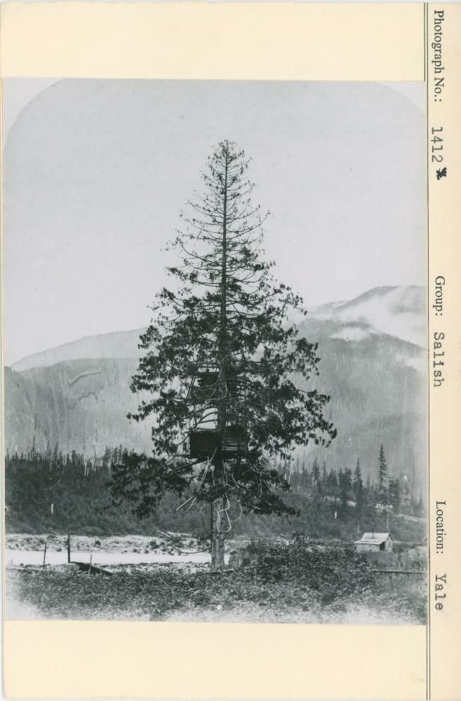 Image representing photograph.