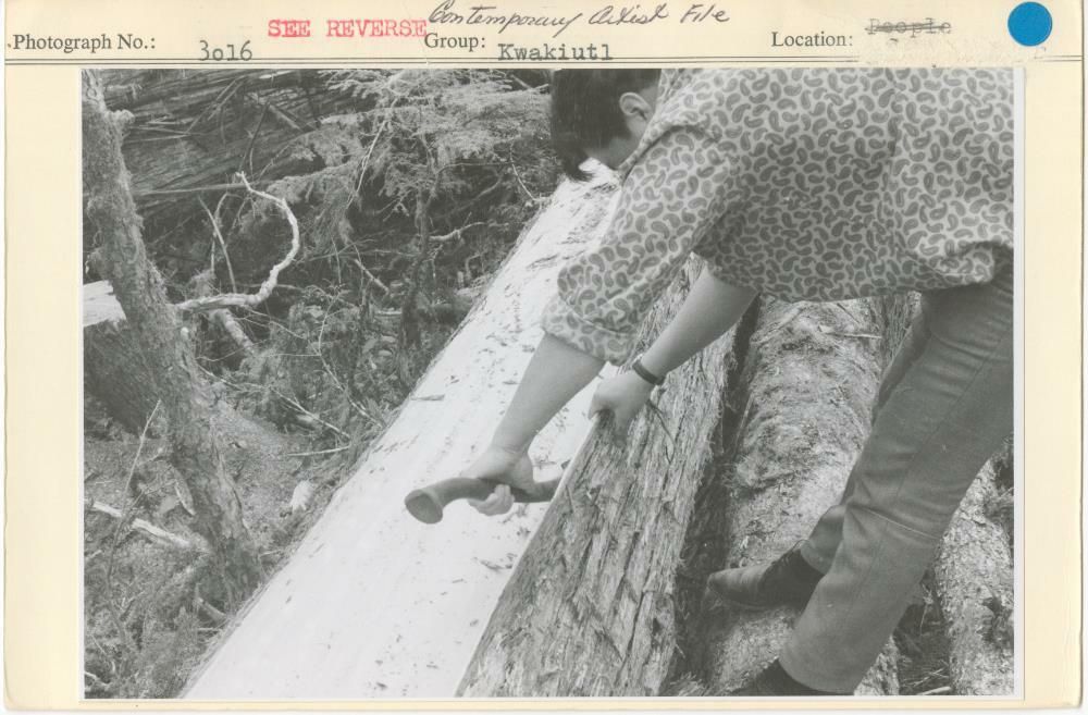 Image representing photograph.