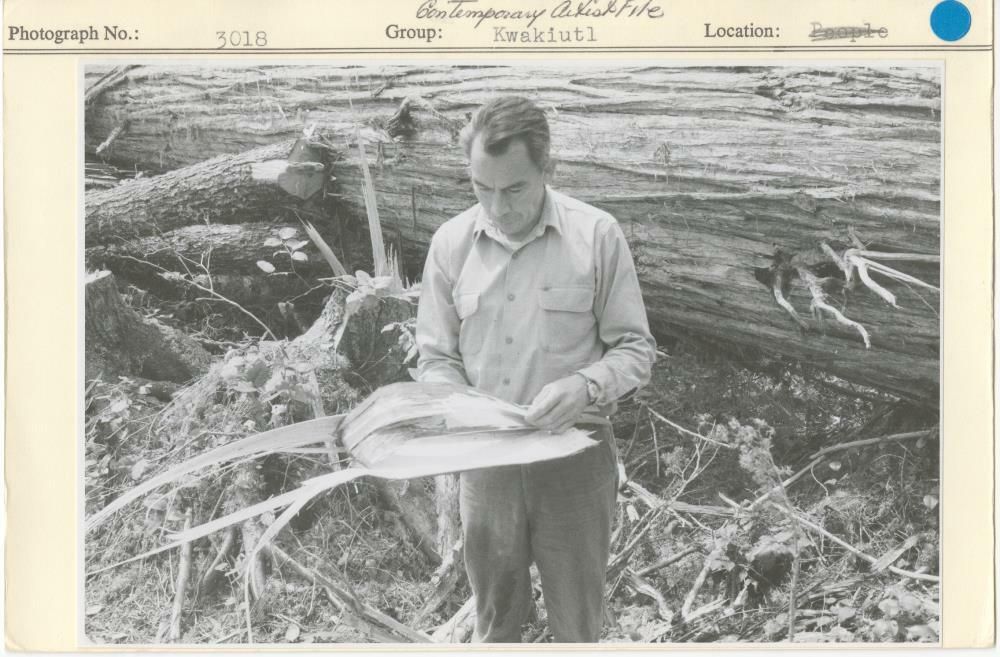 Image representing photograph.