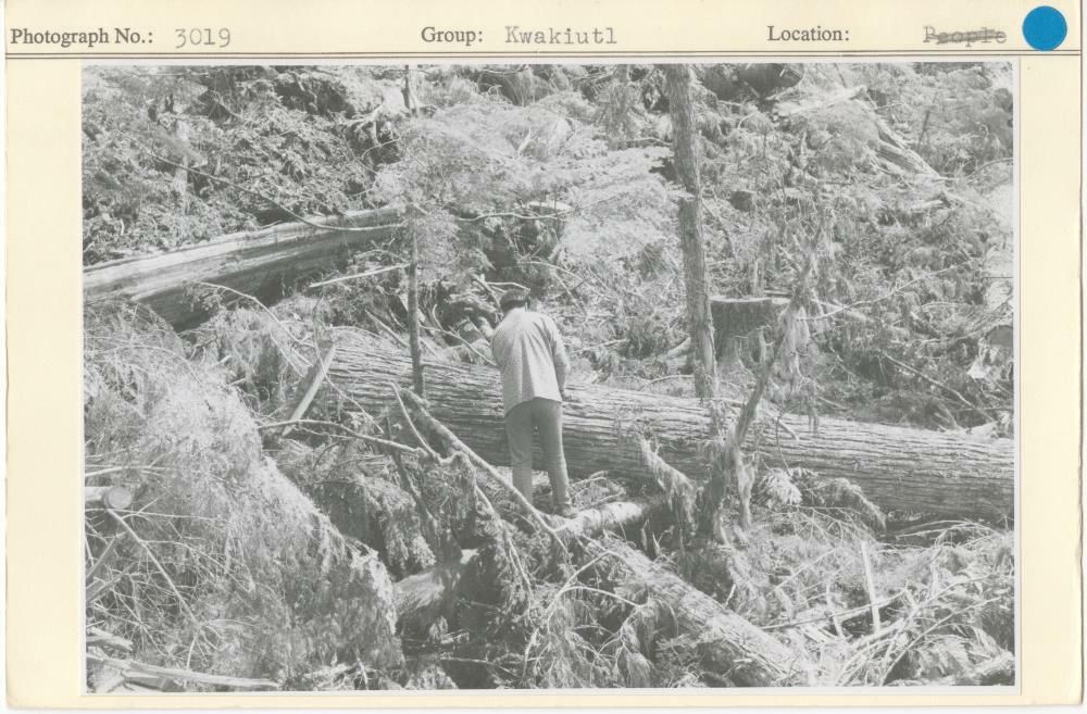 Image representing photograph.