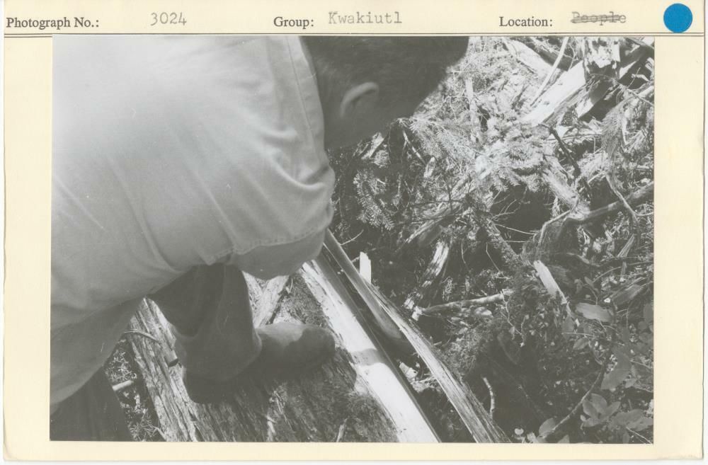 Image representing photograph.