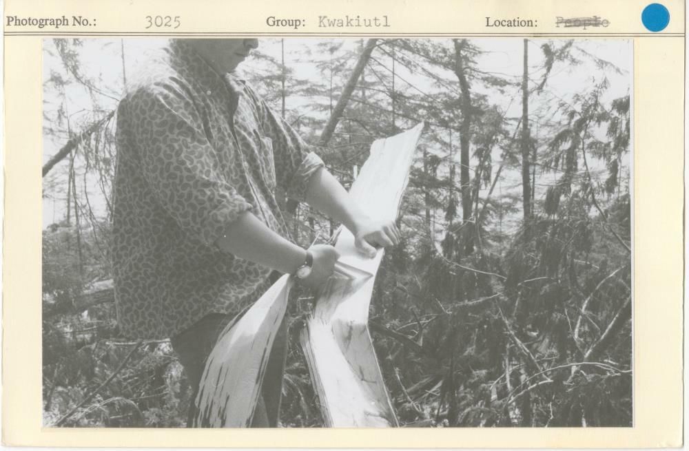 Image representing photograph.