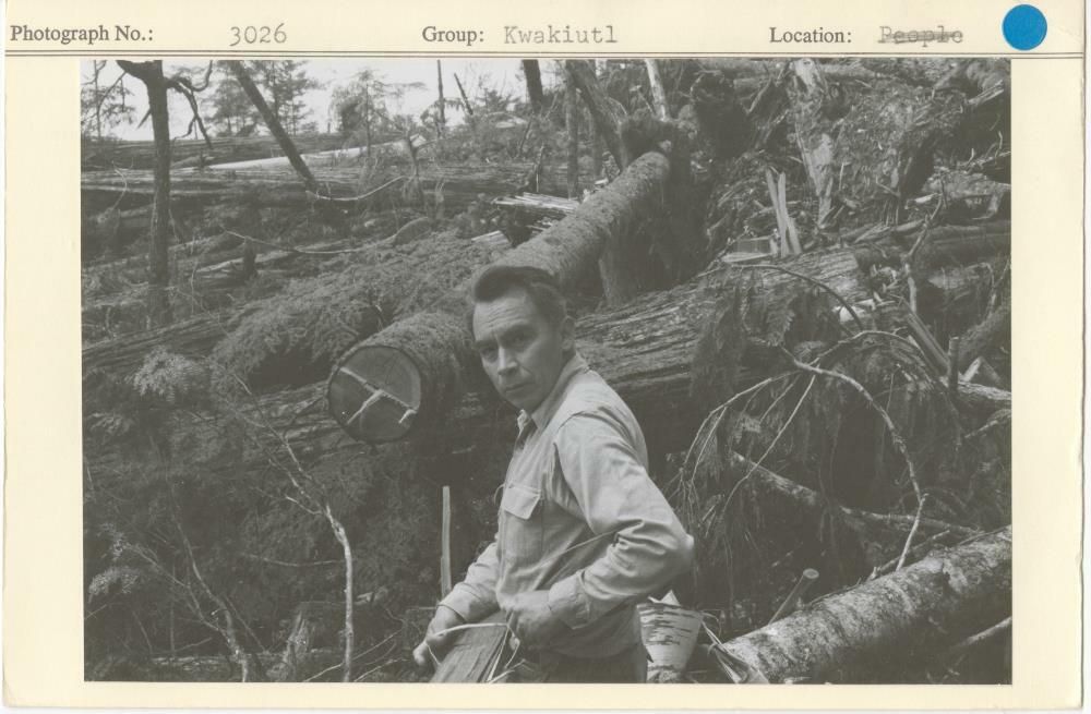 Image representing photograph.