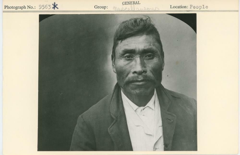 Image representing photograph.