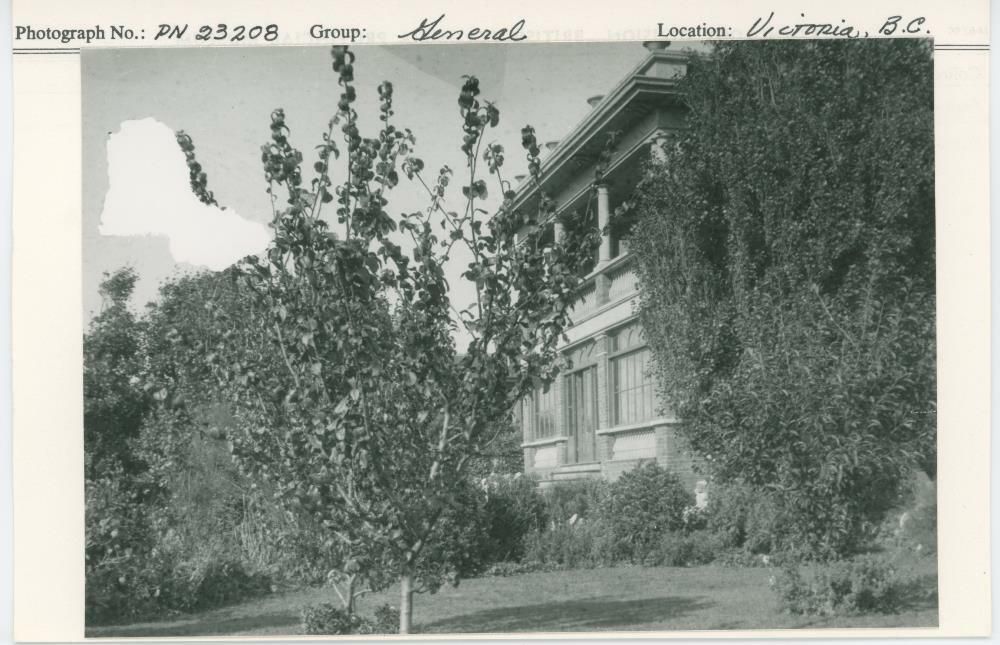 Image representing photograph.