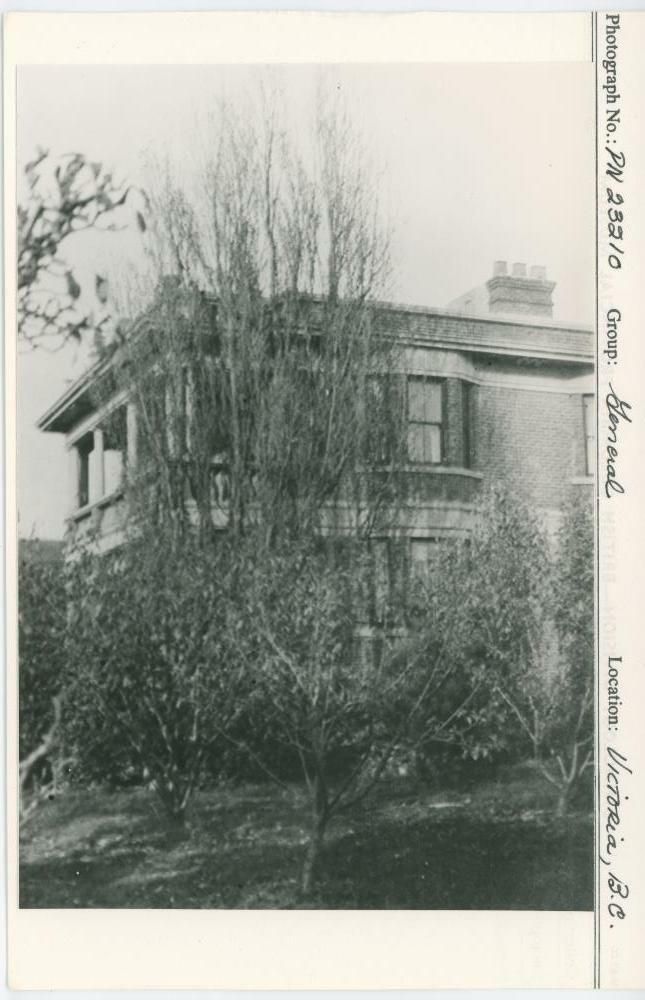 Image representing photograph.
