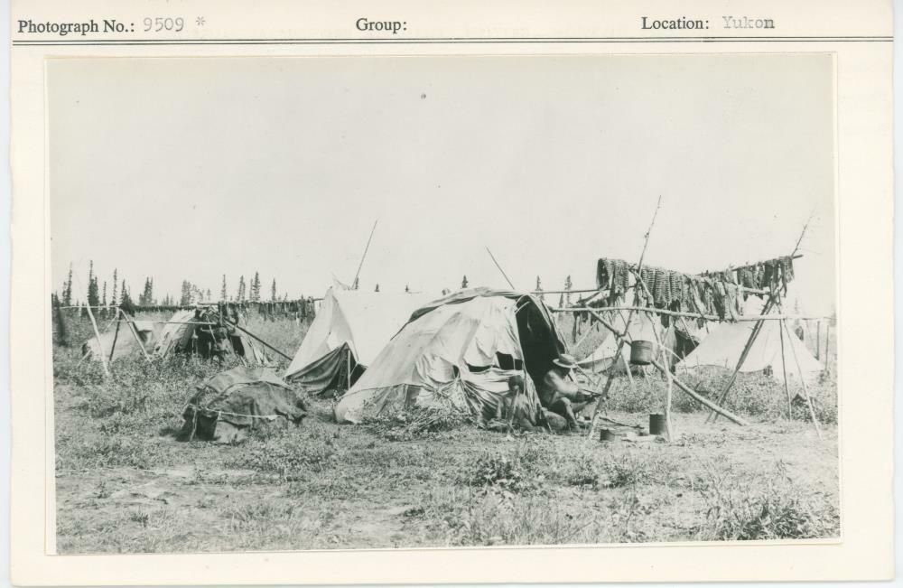 Image representing photograph.