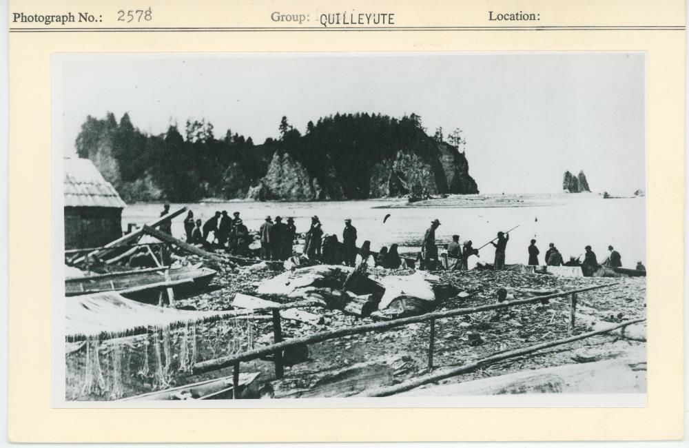 Image representing photograph.