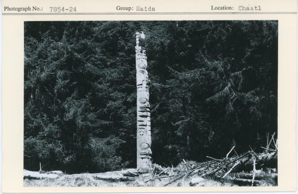 Image representing photograph.