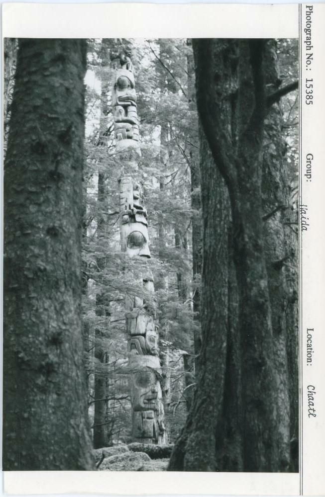 Image representing photograph.