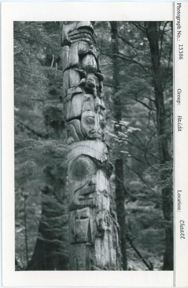 Image representing photograph.