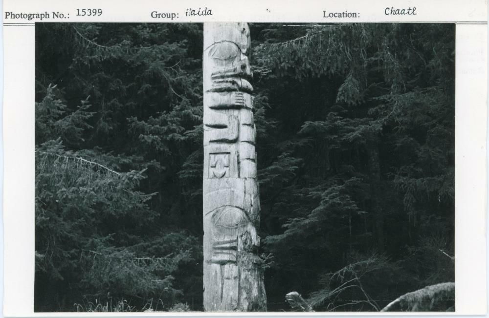 Image representing photograph.