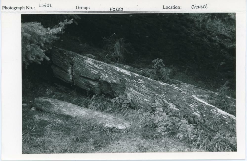 Image representing photograph.