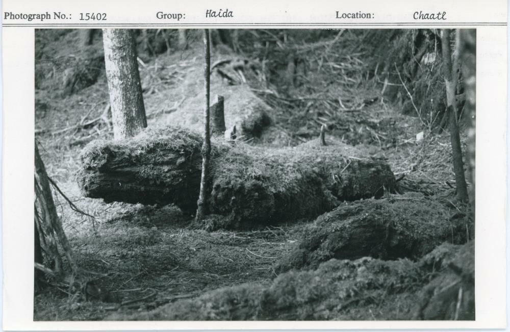 Image representing photograph.