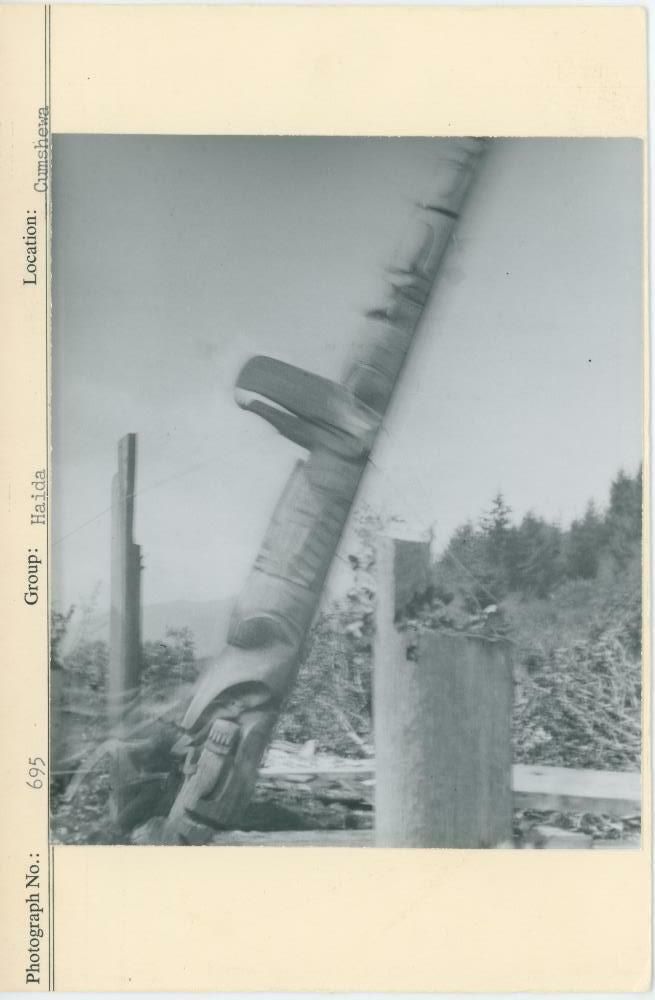 Image representing photograph.