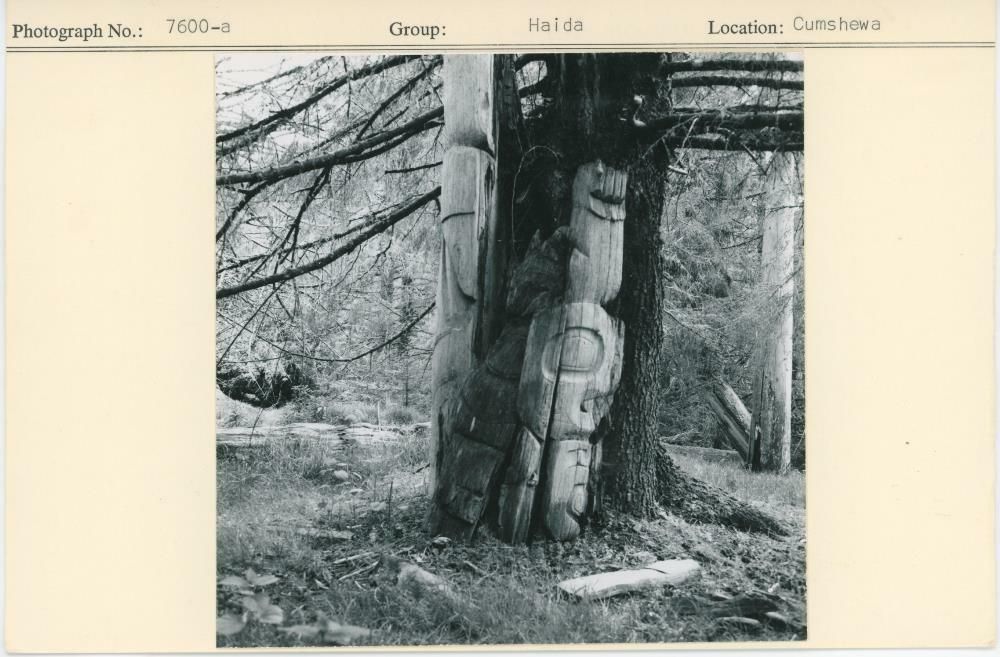 Image representing photograph.