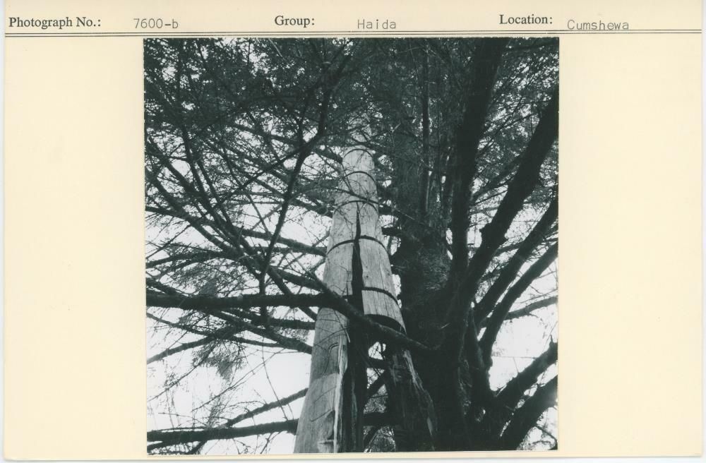 Image representing photograph.