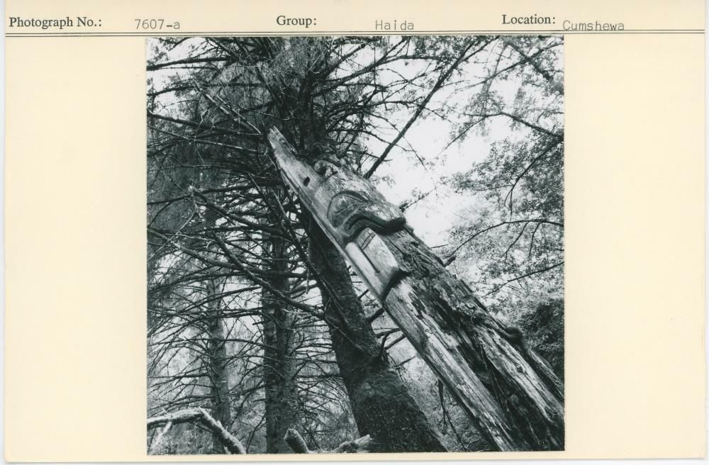 Image representing photograph.