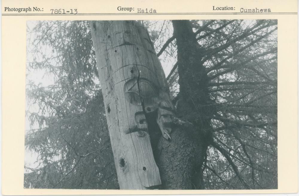 Image representing photograph.