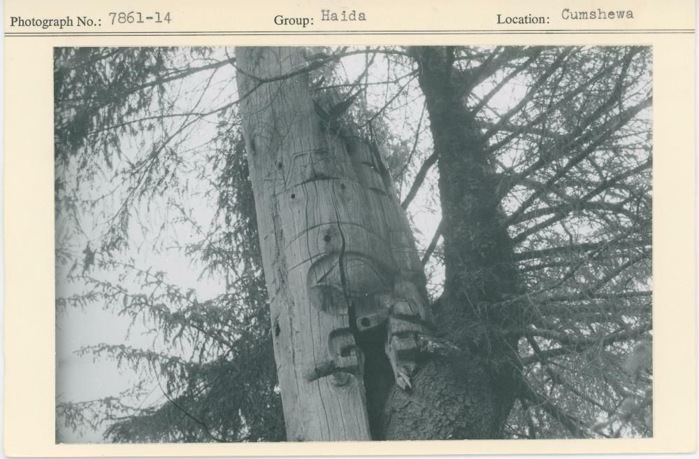 Image representing photograph.