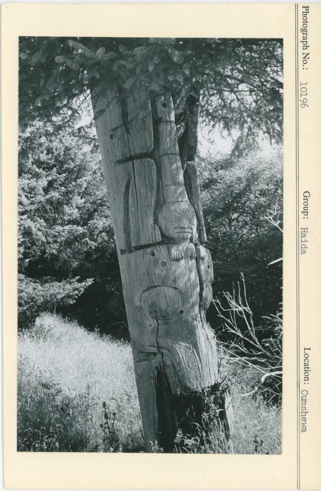 Image representing photograph.