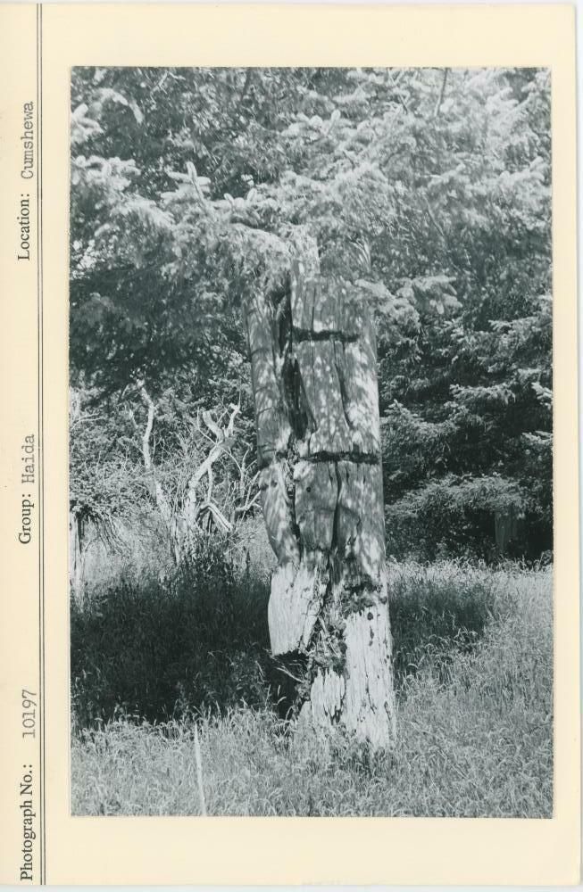 Image representing photograph.