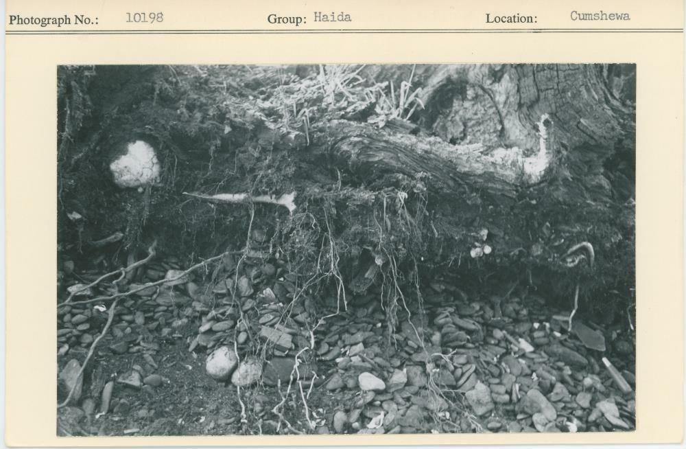 Image representing photograph.