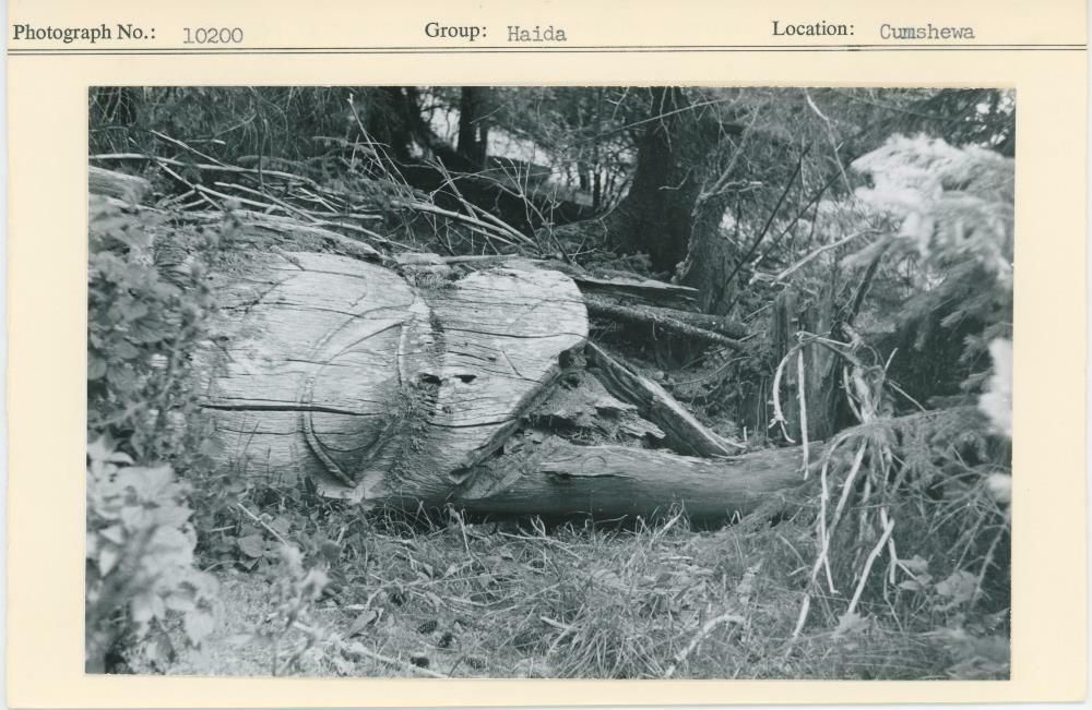 Image representing photograph.