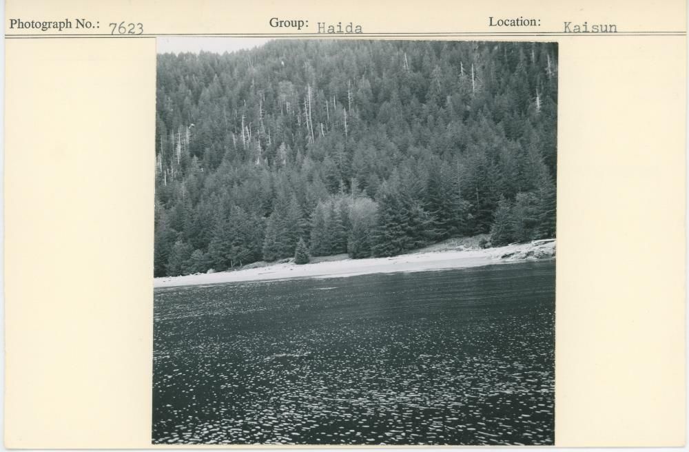 Image representing photograph.