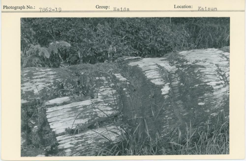 Image representing photograph.