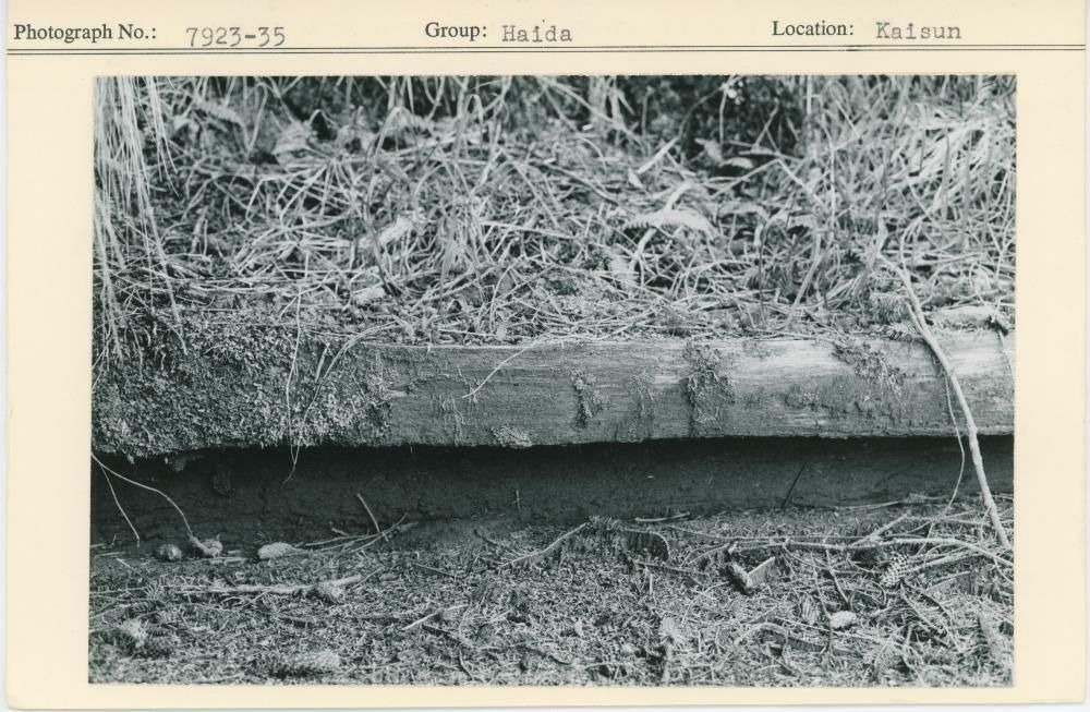 Image representing photograph.
