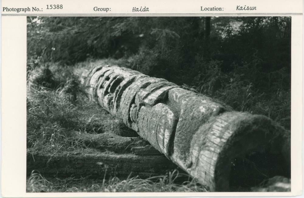 Image représentant photograph