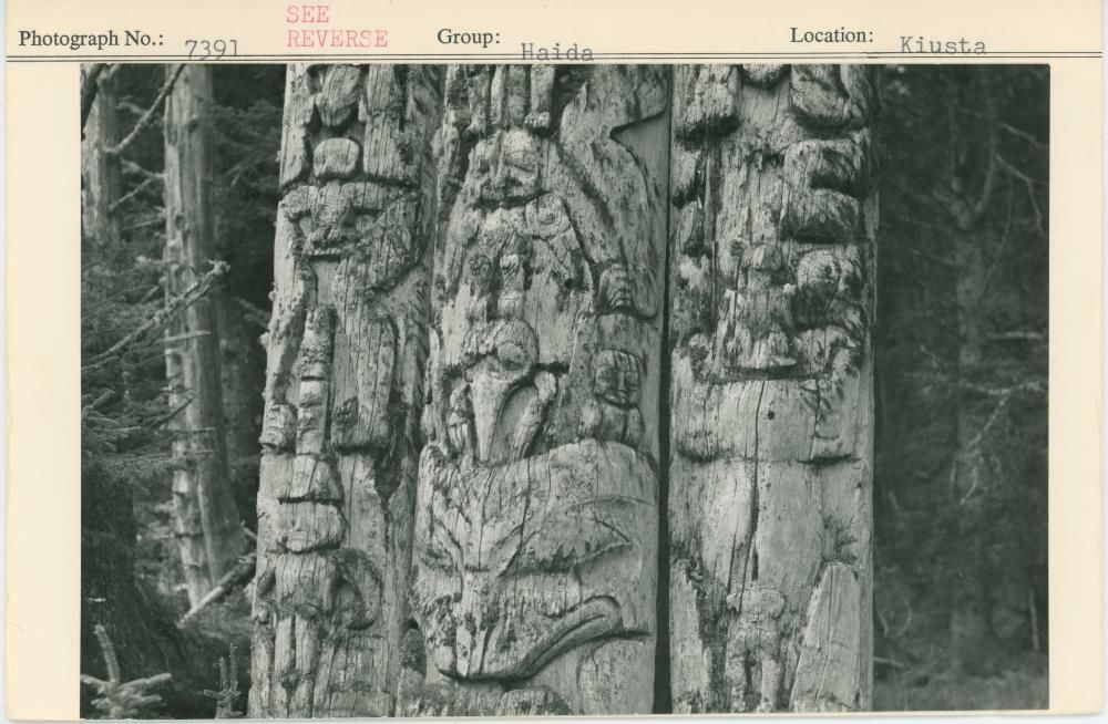 Image representing photograph.