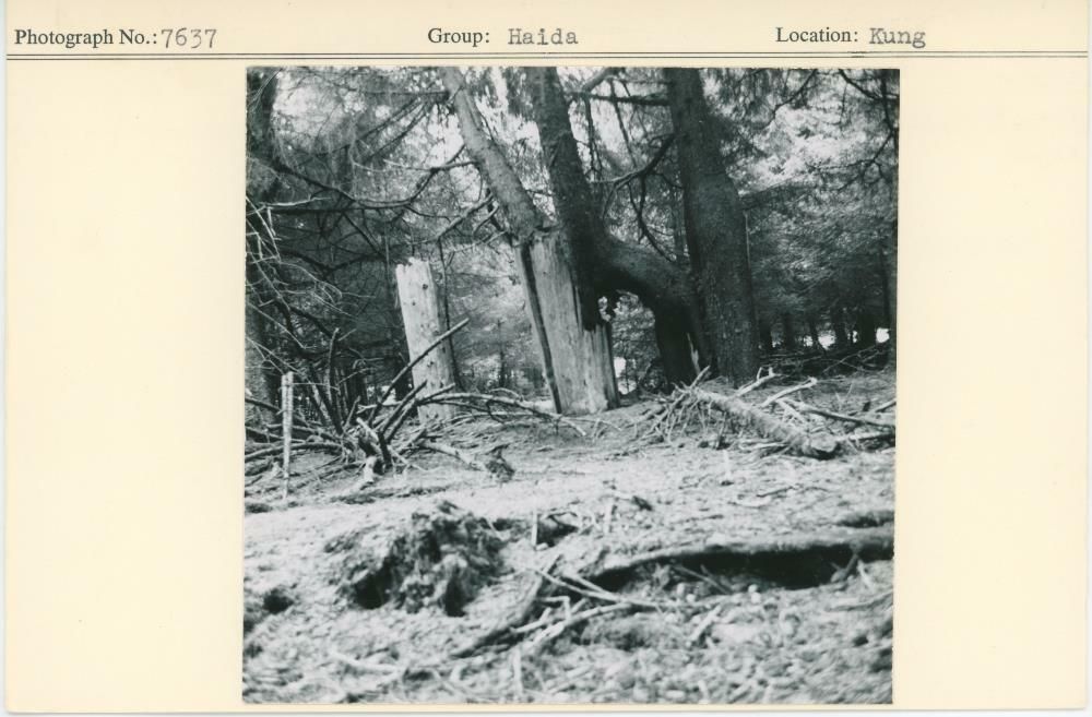 Image representing photograph.