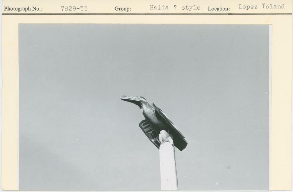 Image representing photograph.