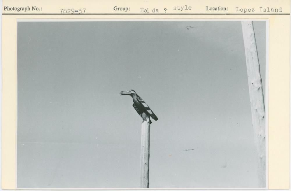 Image representing photograph.