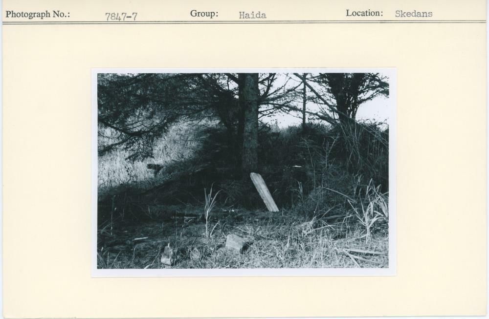 Image representing photograph.