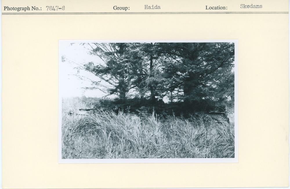 Image representing photograph.