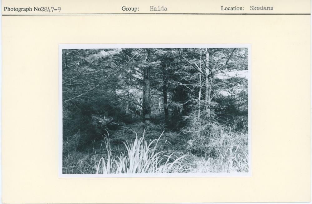 Image representing photograph.