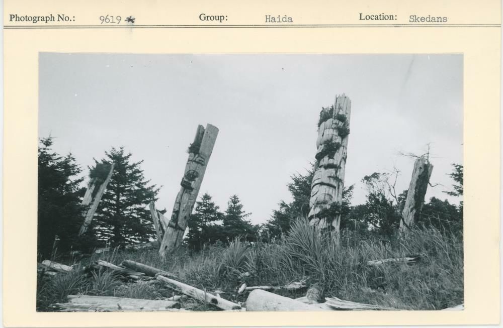 Image representing photograph.