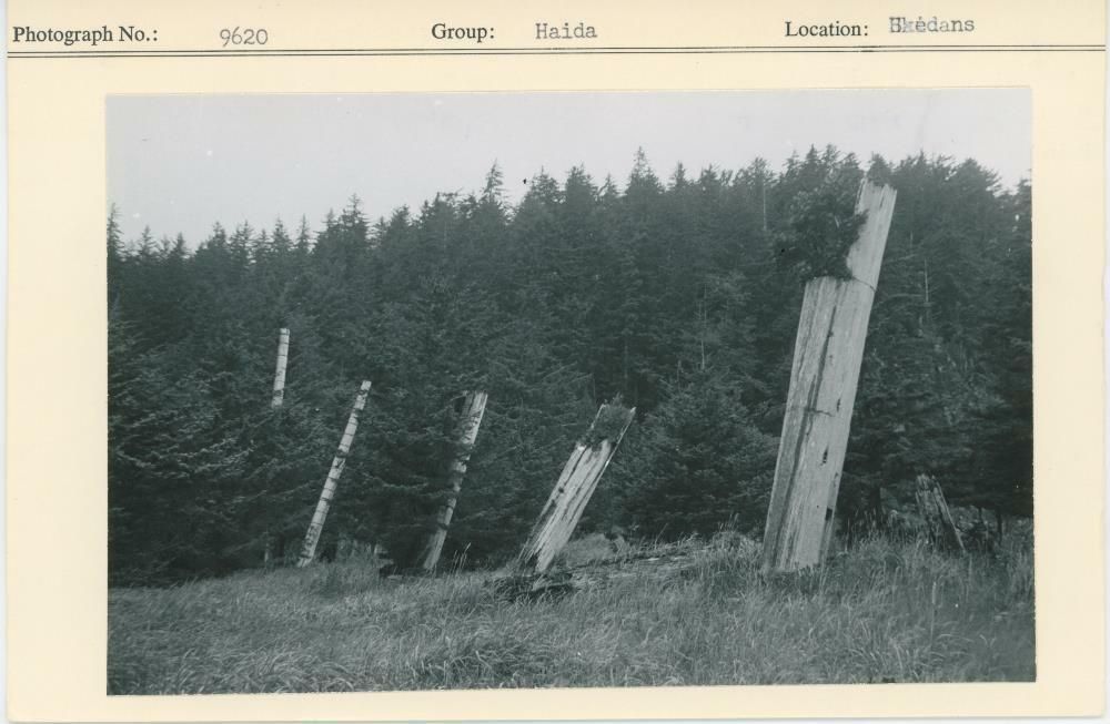 Image representing photograph.