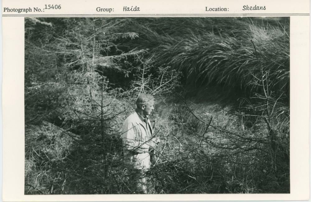 Image representing photograph.