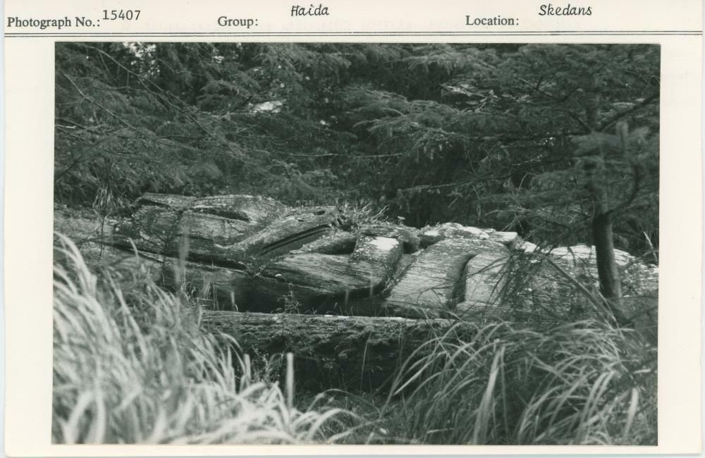 Image representing photograph.