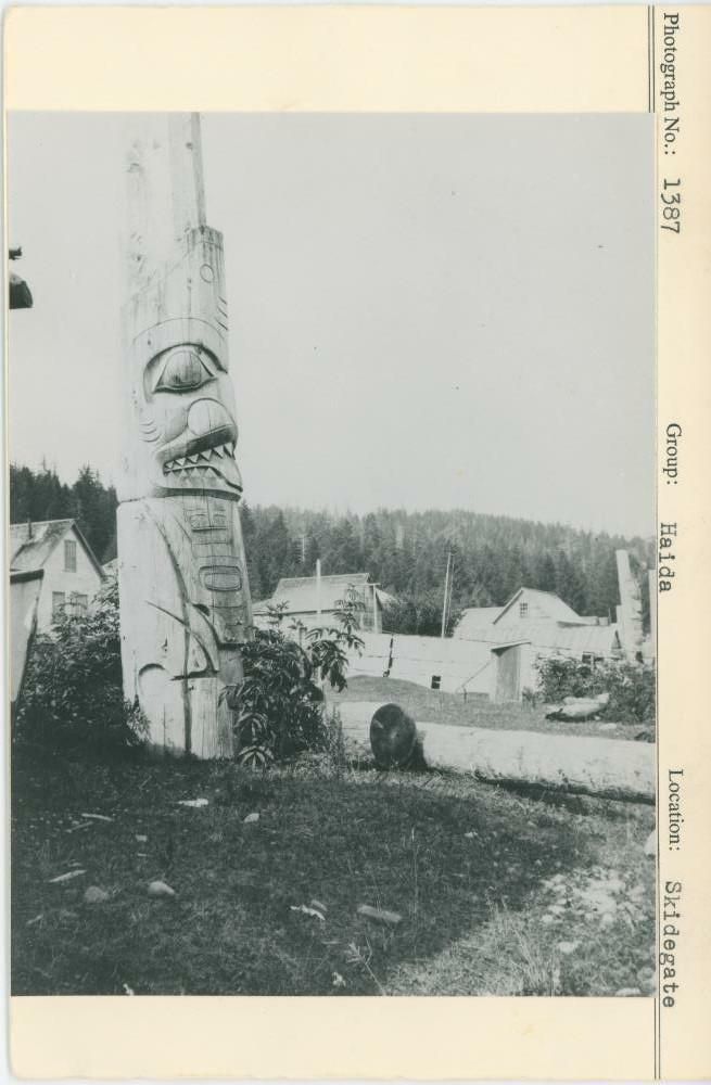 Image representing photograph.